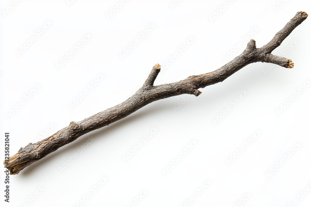 Dried twig studio shot, white background, nature craft Dried twig studio shot, white background, nature craft