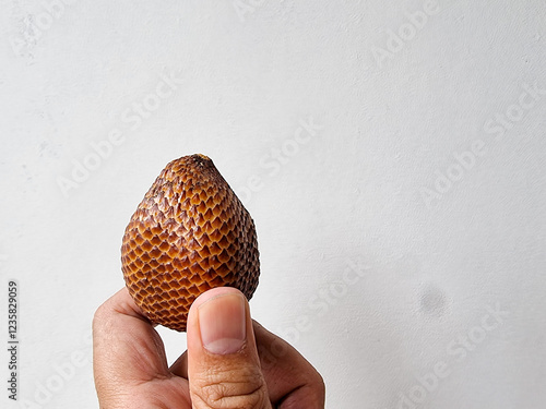 snake fruit held by a man on a white background
