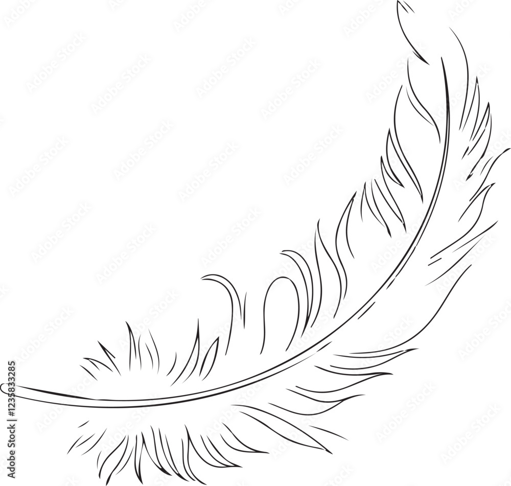 illustration vector pic , feather , leaf, beauty typography flower illustration vector pic , feather , leaf, beauty typography flower