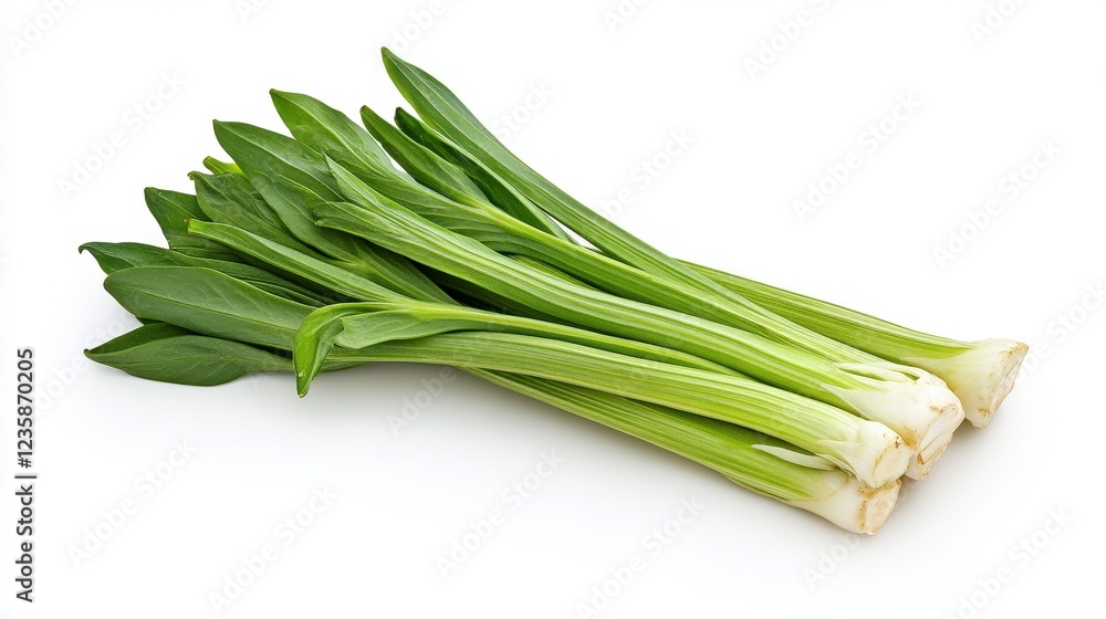 Vibrant Green Leafy Vegetables On White Background Vibrant Green Leafy Vegetables On White Background