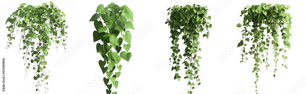 Green plants on white background Green plants on white background