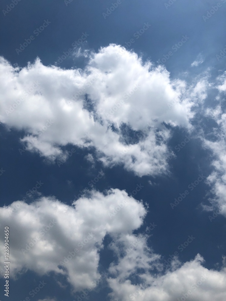 Fototapeta premium Blue sky and Fluffy Clouds