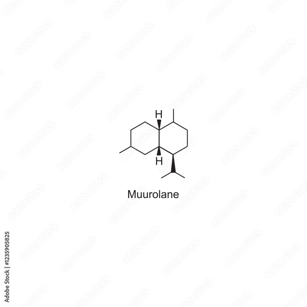 Muurolane skeletal structure.Sesquiterpene compound schematic illustration. Simple diagram, chemical structure. Muurolane skeletal structure.Sesquiterpene compound schematic illustration. Simple diagram, chemical structure.