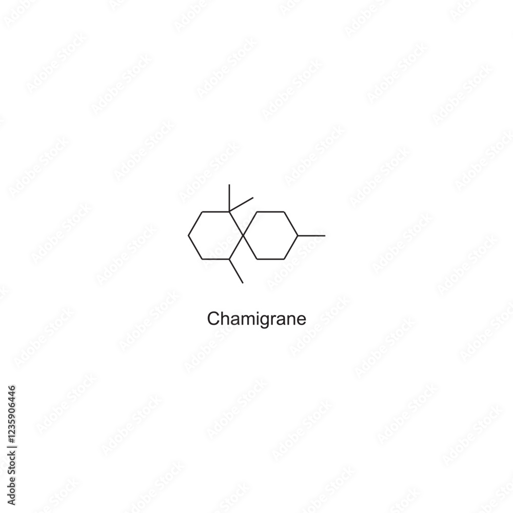 Fototapeta premium Chamigrane skeletal structure.Sesquiterpene compound schematic illustration. Simple diagram, chemical structure.