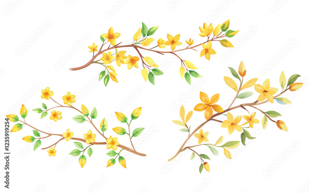 Set Of Yellow Orchid Blossom Branch Background Vector Illustration Set Of Yellow Orchid Blossom Branch Background Vector Illustration