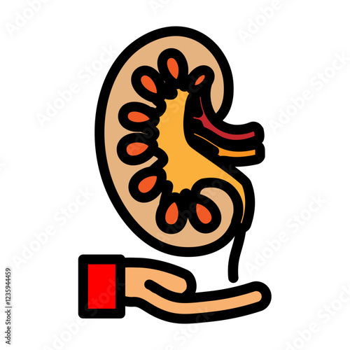 Kidney Donation Vector Filled Icon Design