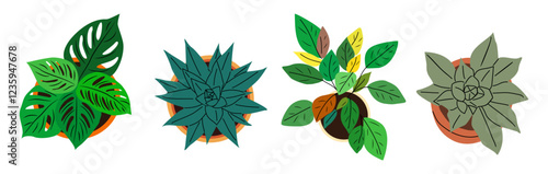 Potted plants set, above top view. Green leaf houseplants overhead. Natural home and office interior decoration growing in flowerpots, planters. Flat vector illustrations isolated 