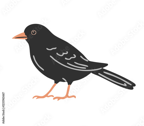 Blackbird with bright beak. Flying feathered thrush. Birds, nature and ornithology. Cartoon vector illustration isolated on white background