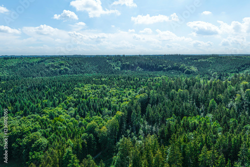 Sommer im schwäbischen Naturpark Westliche Wälder bei Augsburg photo