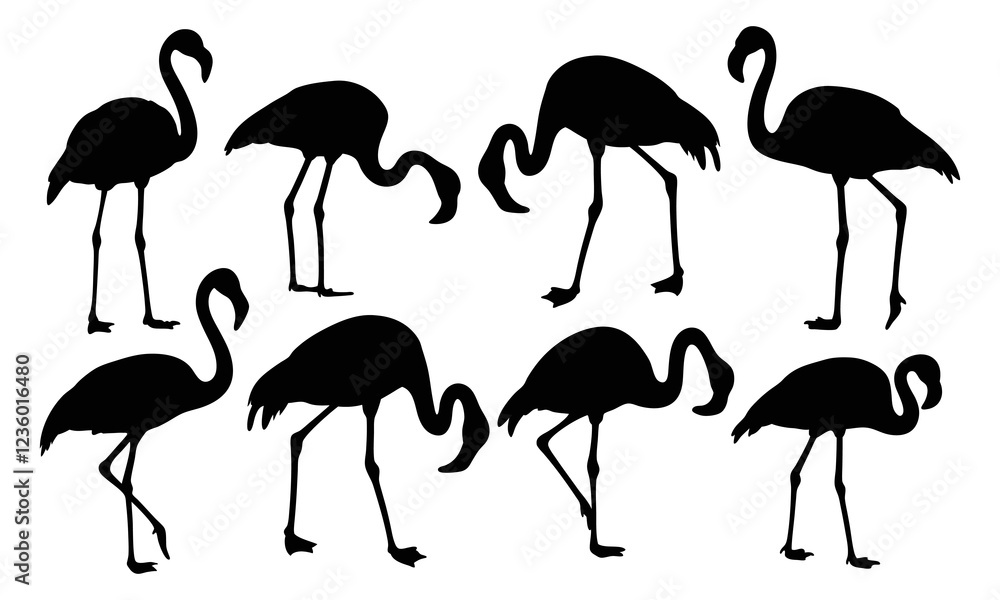 Obraz premium Flamingo silhouette isolated on white background