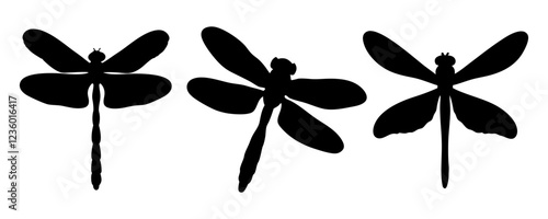 Dragonfly silhouette isolated on a transparent background