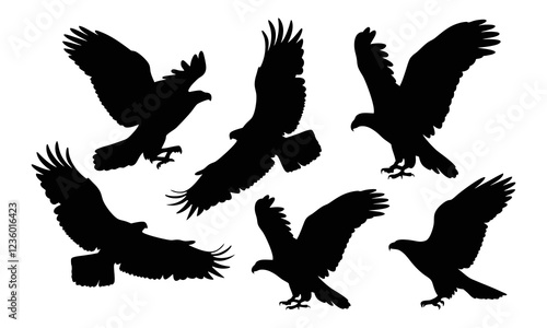 Eagle black and white silhouette illustration set