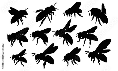 Set of bee silhouette illustration isolated on a white background