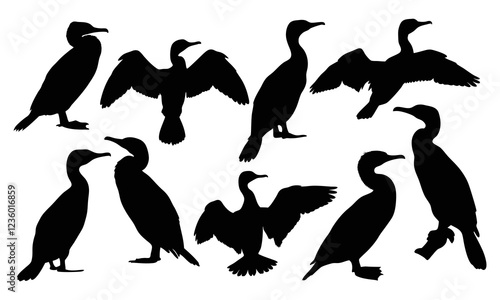 Set of cormorant black silhouette isolated on white background