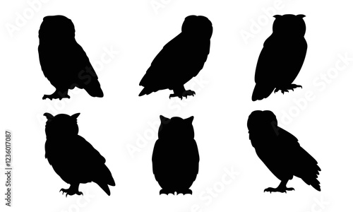 Set of owl with different pose vector silhouette