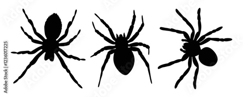 Spider black silhouette illustration isolated on a transparent background