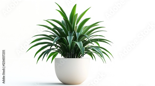 A potted plant sits in a ceramic pot photo