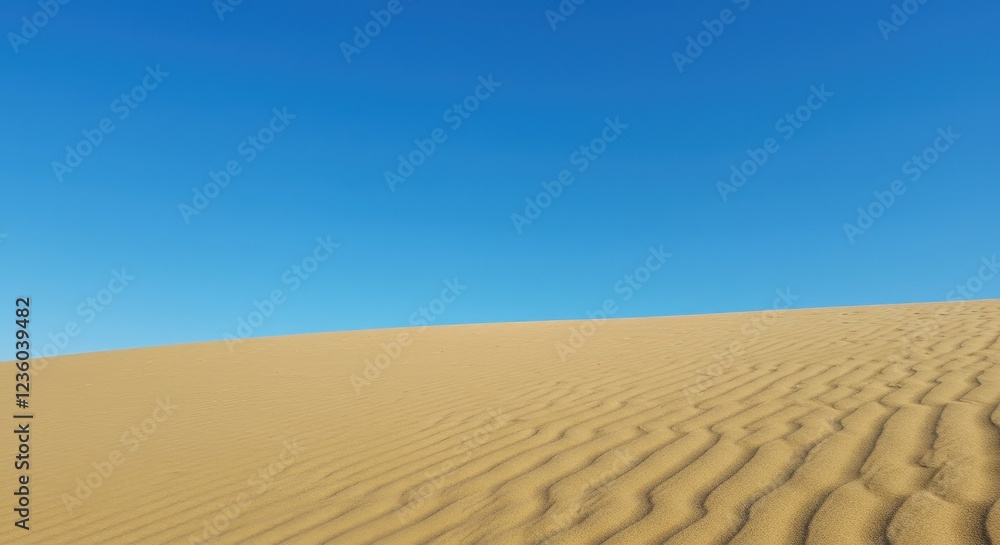 sand dunes in the desert sand dunes in the desert