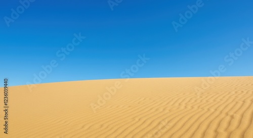 Fototapeta Naklejka Na Ścianę i Meble -  sand dunes in the desert