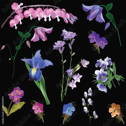 pink and violet flowers set isolated on black