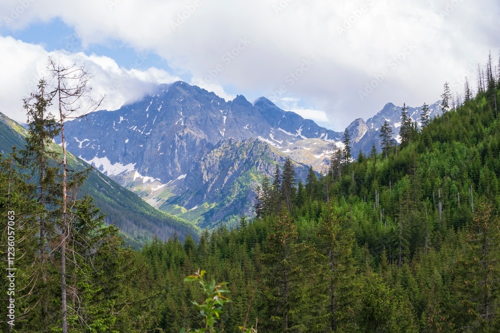 View of the peaks of the Tatra Mountains in Poland. Beautiful landscape with mountains and clouds. View of the peaks of the Tatra Mountains in Poland. Beautiful landscape with mountains and clouds.