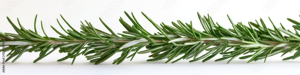 Fototapeta premium A detailed shot of a pine tree branch, featuring needles and cones
