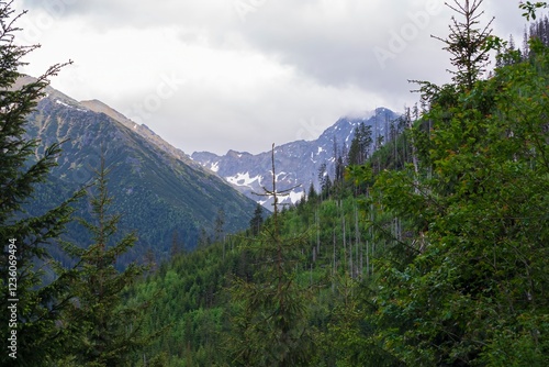 View of the peaks of the Tatra Mountains in Poland. Beautiful landscape with mountains and clouds.