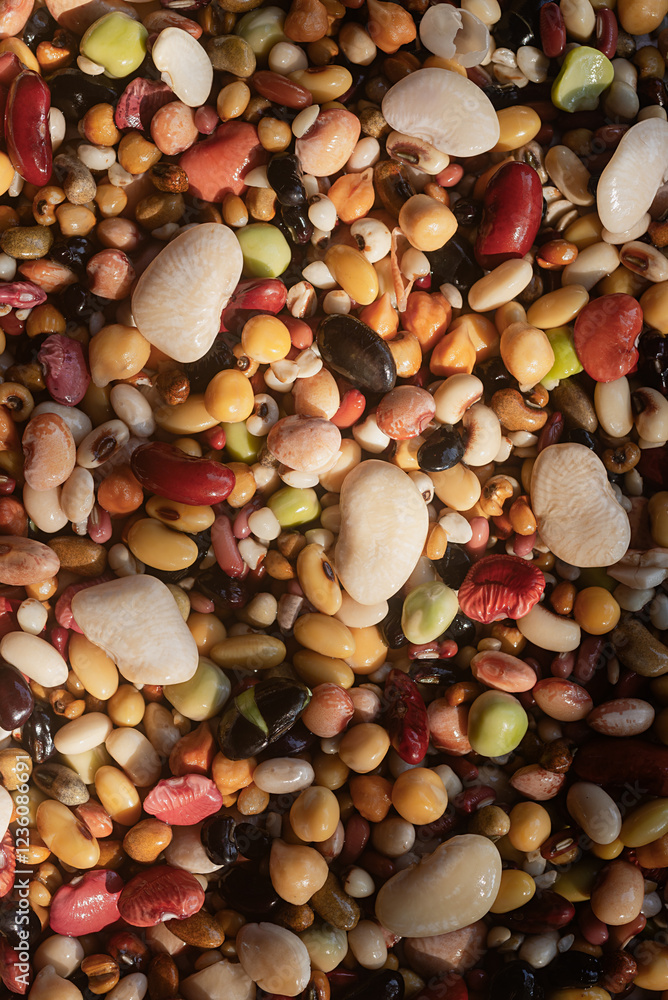 Mixed dried legumes: peas, lentils, beans, haricot, buckwheat, chickpea. food texture background, after soaking for 24 hour, Top view image.