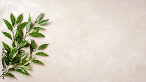 Green leaves on beige background, copy space