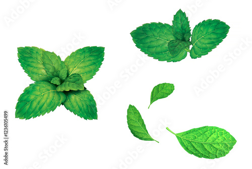 Mint leaf illustration, 3D rendering, 3D illustration