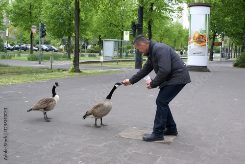 A man feeds birds in the city