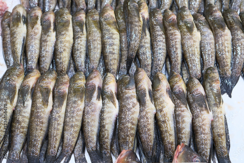 Obraz premium Fresh sea fish on the store counter. Black Sea goby