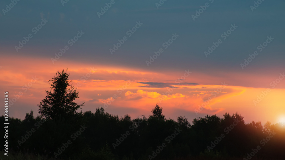 Fototapeta premium Sunset summer sky over the forest