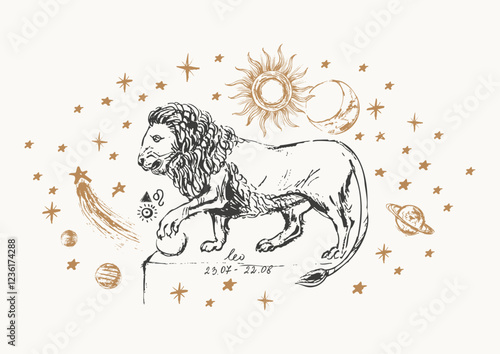 Hand drawn leo zodiac sign illustration, horoscope background