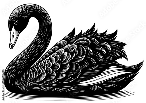 Black Swan Vector File
