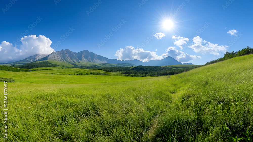 Large field of grass with a mountain in the background. Minimalistic background. Large field of grass with a mountain in the background. Minimalistic background.