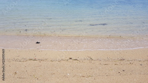 empty beach in the morning with clear water