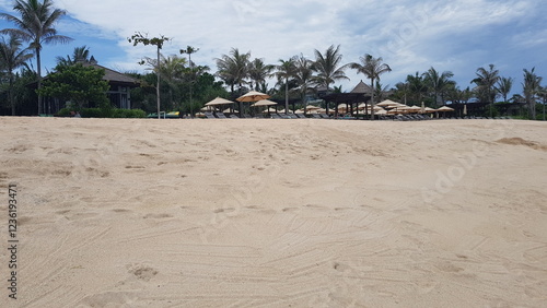 empty beach with trees and umbrellas