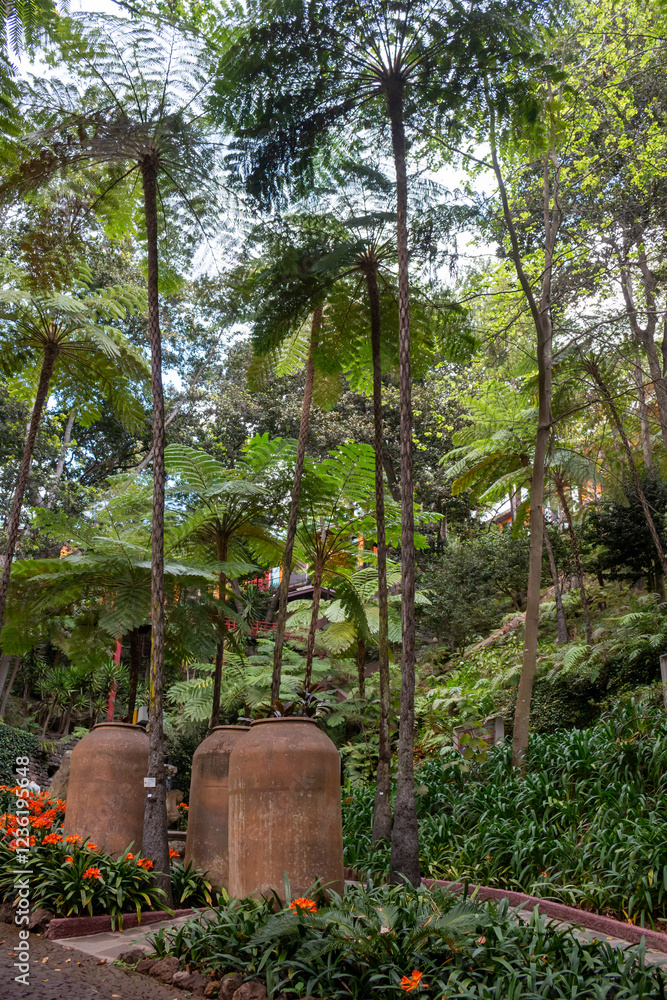 Naklejka premium Greenery in a Botanical garden, Monte, Funchal, Madeira