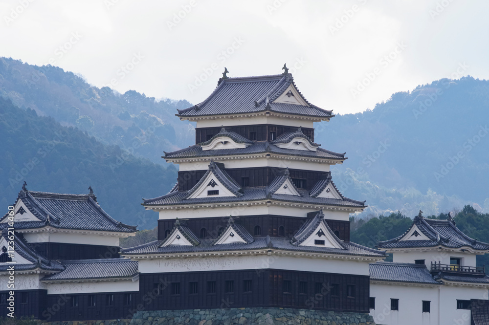 Fototapeta premium 大洲城