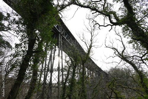 a view of the Meldon viaduct. a truss bridge that carried the Dartmoor railway which is now a cycle route photo