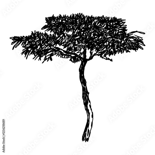 savanna tree, vector sketch
