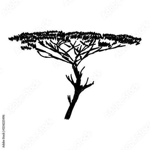 savanna tree, vector sketch