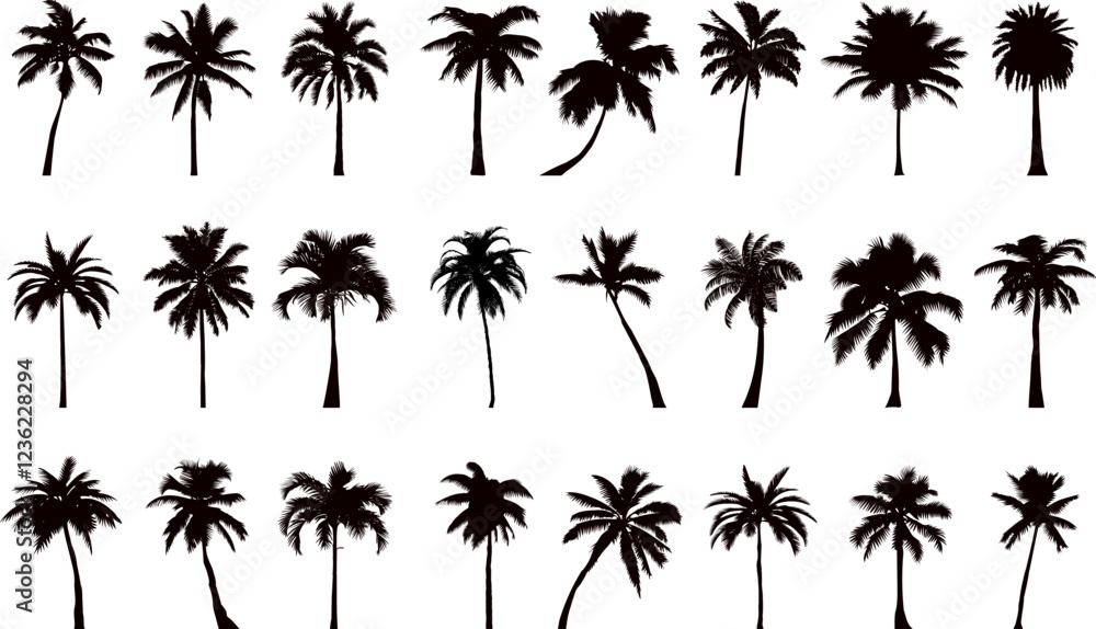 Obraz premium palm tree collection, set silhouette on white background vector