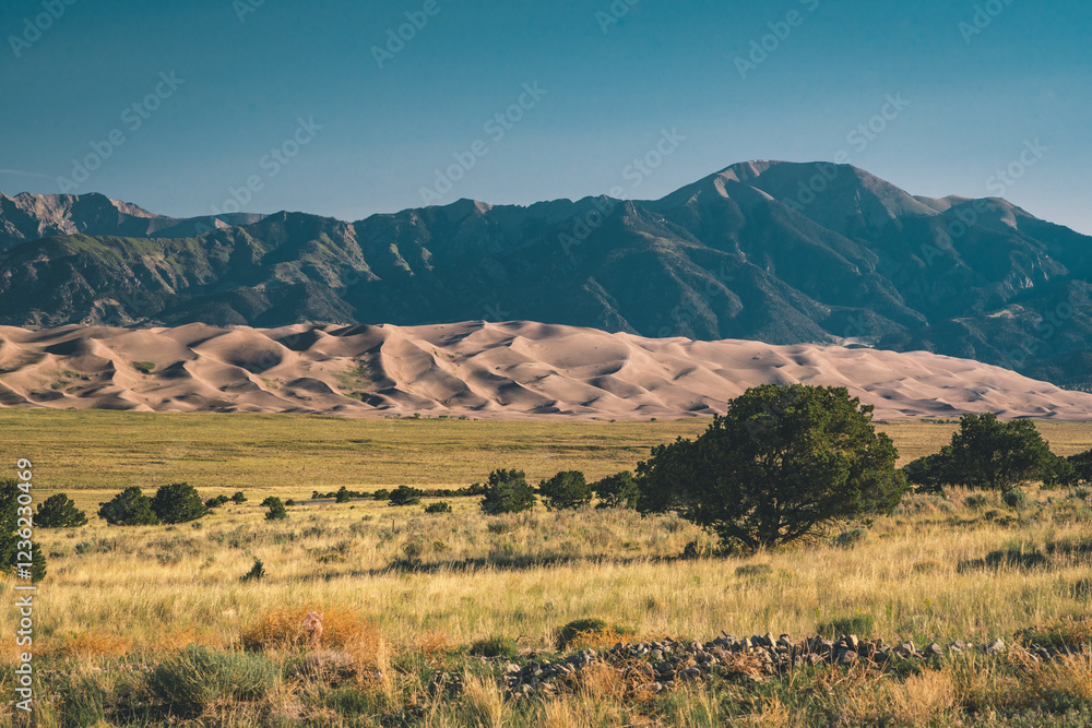 Naklejka premium Great Sand Dunes Nationalpark, Arizone, USA.