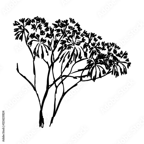 savanna tree, vector sketch