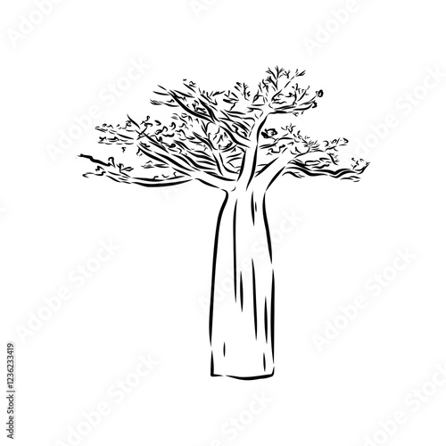 savanna tree, vector sketch