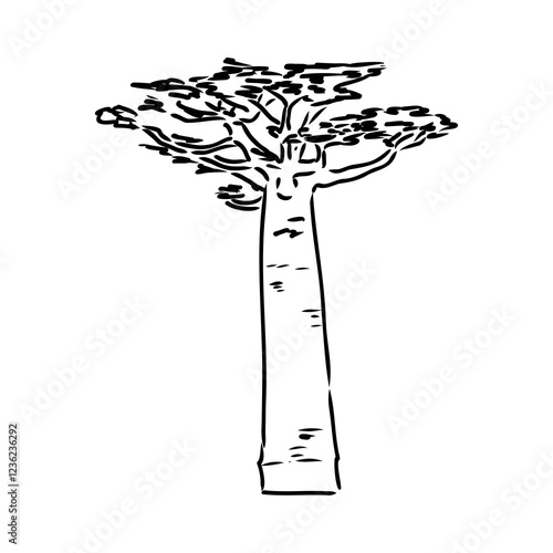 savanna tree, vector sketch