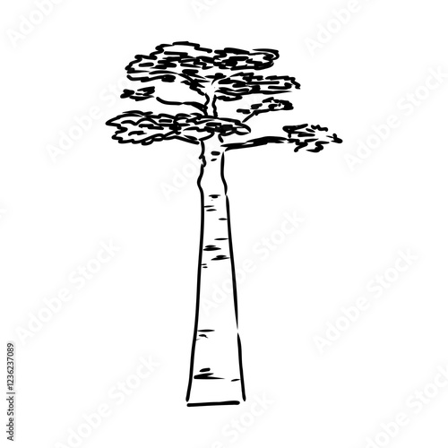 savanna tree, vector sketch