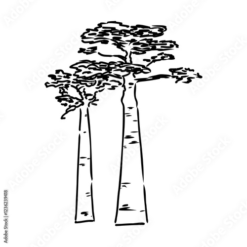 savanna tree, vector sketch